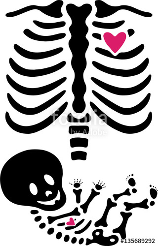 320x500 Female Skeleton Pregnant X Ray Stock Image And Royalty Free