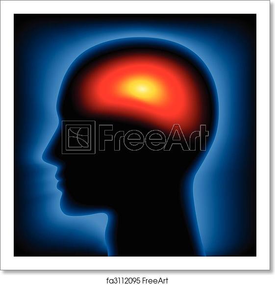 561x581 Free Art Print Of Head Thermal X Ray Vector Image Silhouette