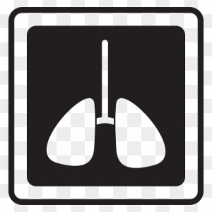 300x300 Hospital X Ray Vector