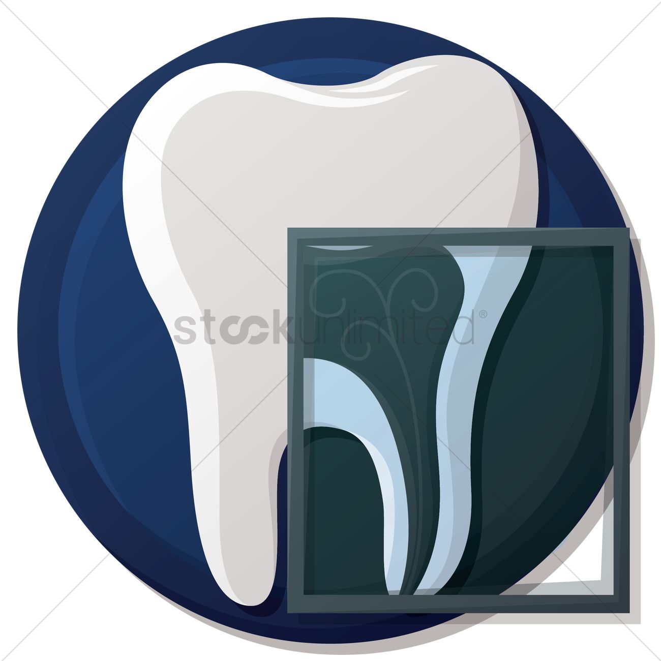 1300x1300 Tooth X Ray Vector Image