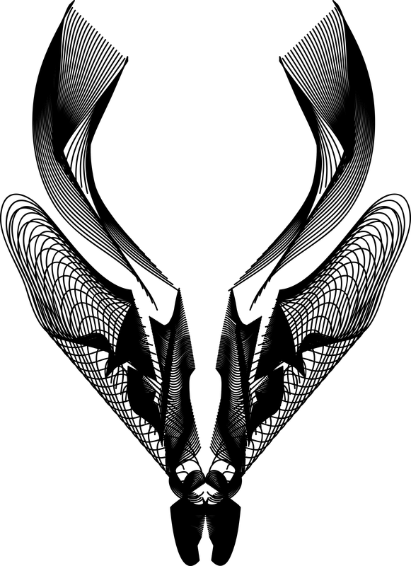 581x800 X Ray Vector Art