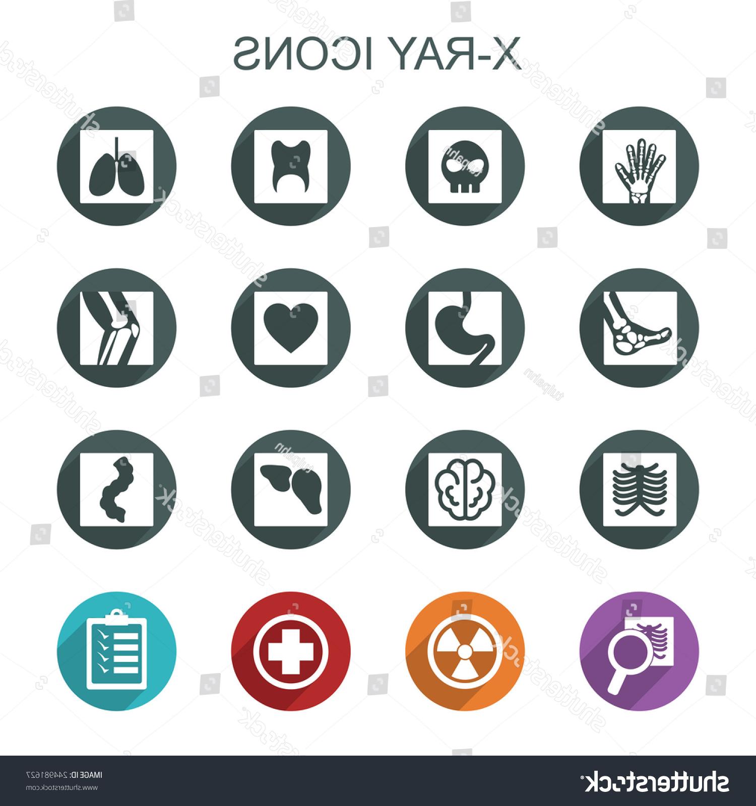 1500x1600 Best Free Donut Sign Chest X Ray Vector Cdr Free Vector Art