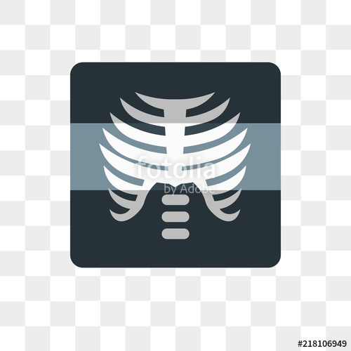500x500 X Ray Vector Icon Isolated On Transparent Background, X Ray Logo