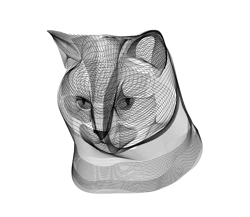 854x740 X Ray Vector Art My Dandelion Mind