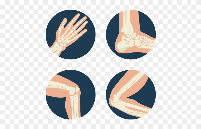 840x541 Bone Euclidean Vector Human Skeleton Clip Art