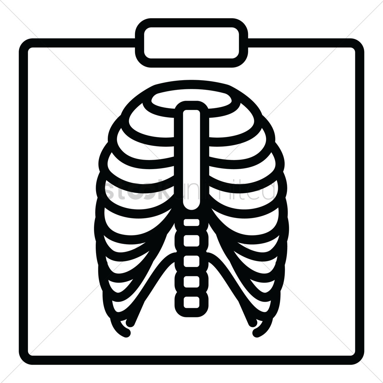 X Ray Vector at Vectorified.com | Collection of X Ray Vector free for ...