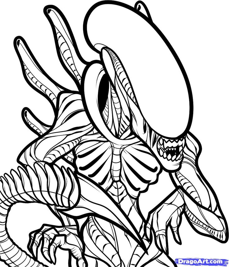 Xenomorph Vector at Vectorified.com | Collection of Xenomorph Vector ...