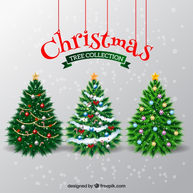 626x626 Elegant Christmas Trees Vector Free Download
