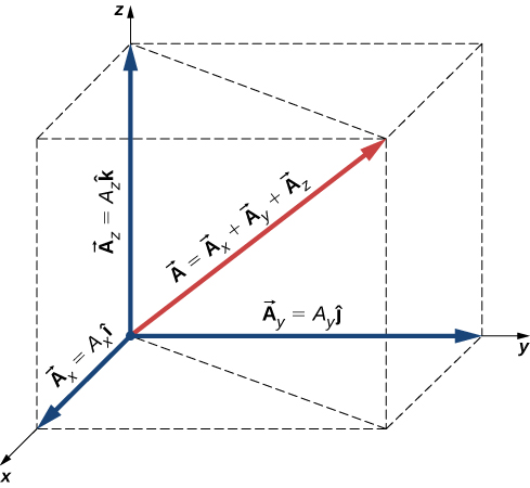 Coordinate Systems And Components Of A Vector University 489x450 Coordinate Systems And Components Of A Vector University