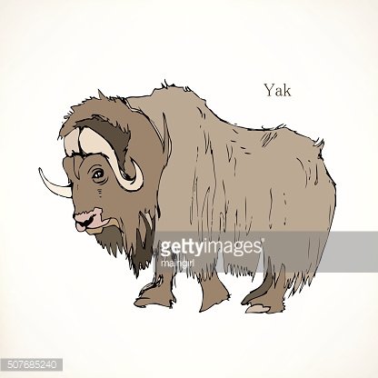 416x416 Yak, Vector Illustrations Premium Clipart