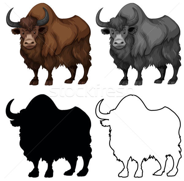 600x589 Yak Stock Vectors, Illustrations And Cliparts Stockfresh