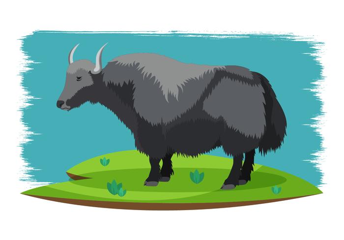 700x490 Yak Vector Illustration