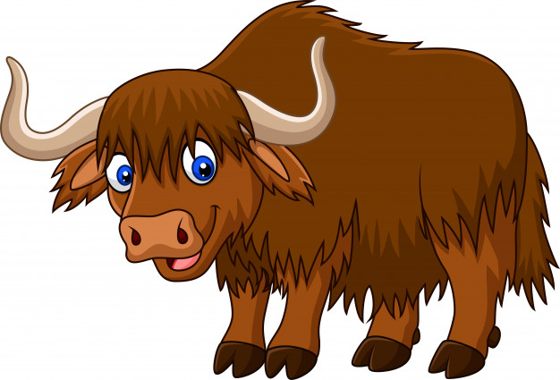 Yak Vector At Vectorified.com 