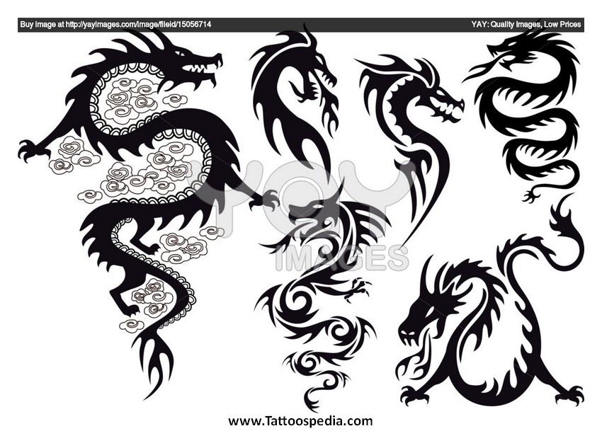 850x609 Dragon Tattoo Vector
