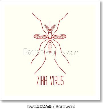 The Yellow Fever Mosquito 362x382 The Yellow Fever Mosquito