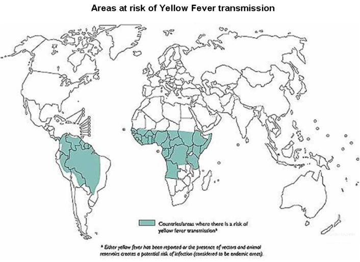 Who Yellow Fever A Current Threat 706x515 Who Yellow Fever A Current Threat