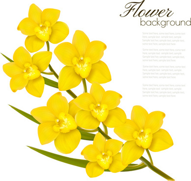 Vector Yellow Flower Free Vector Download 389x368 Vector Yellow Flower Free Vector Download