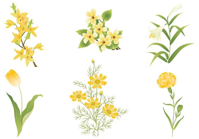Yellow Flower Vector Pack 700x490 Yellow Flower Vector Pack