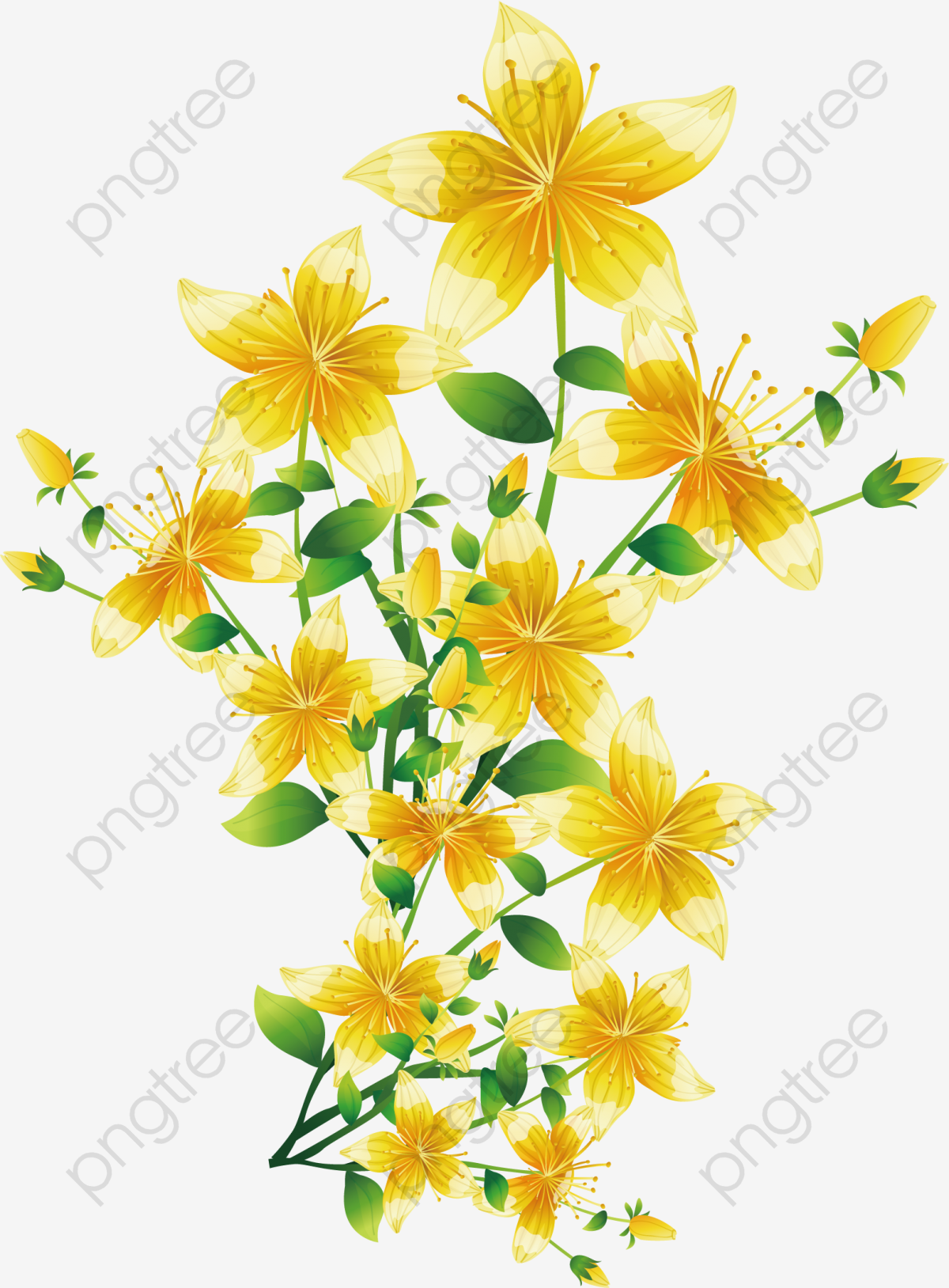 Yellow Flowers, Spring Background, Spring Illustration Png 1200x1628 Yellow Flowers, Spring Background, Spring Illustration Png