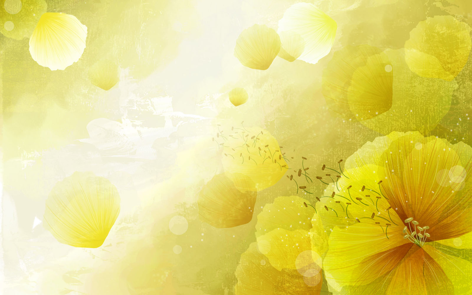 Yellow Flowers Vector 1600x1000 Yellow Flowers Vector