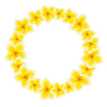 Circle Of Frangipani Flowers Asian Yellow Flower Vector 450x450 Circle Of Frangipani Flowers Asian Yellow Flower Vector