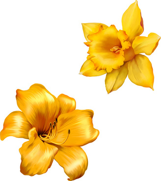 Free Realistic Flower Vector Free Vector Download 328x368 Free Realistic Flower Vector Free Vector Download