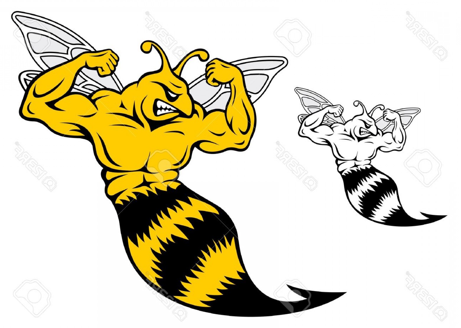 1560x1110 Photodanger Yellow Jacket With Muscles For Mascot Design