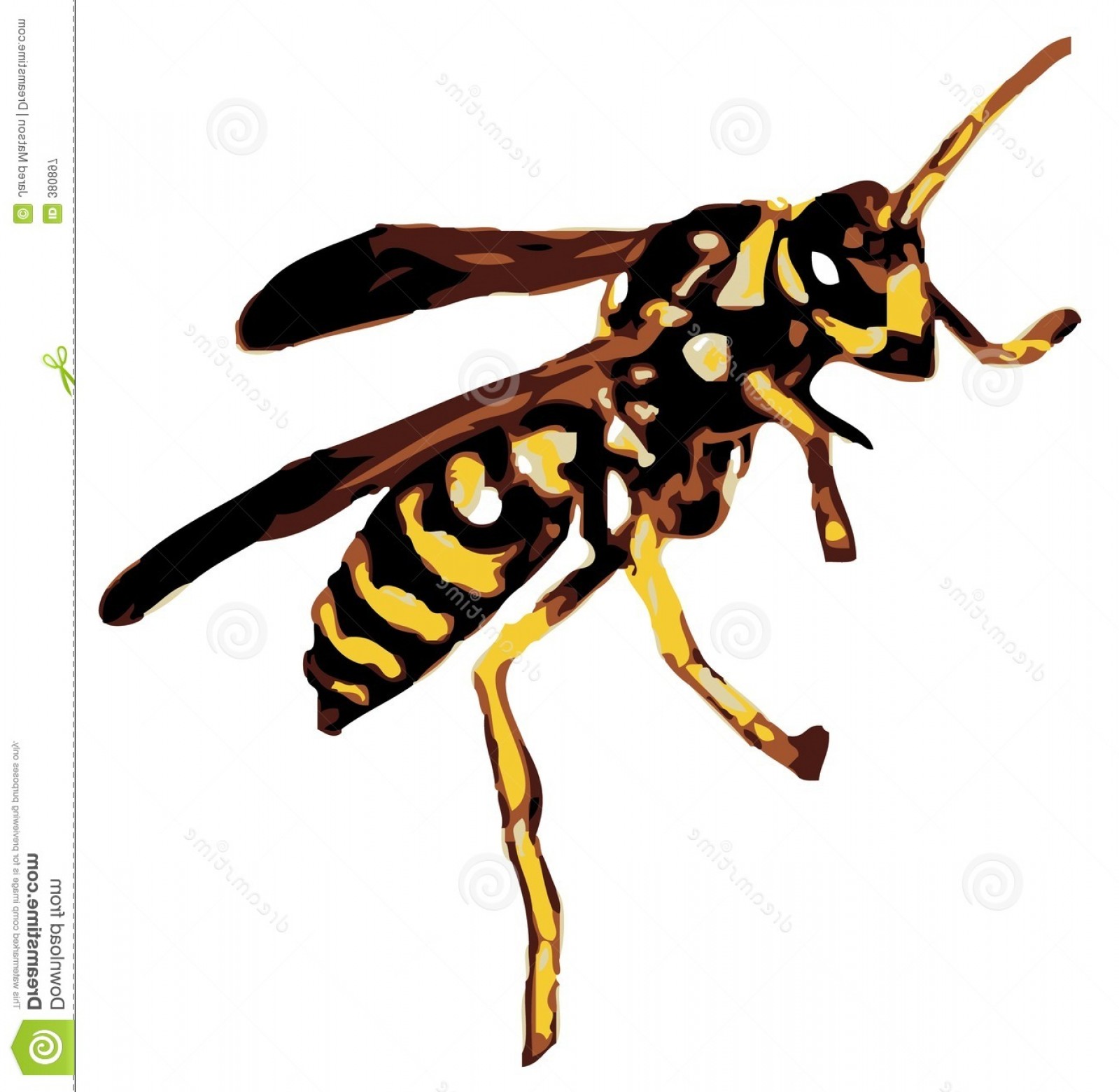 1599x1560 Royalty Free Stock Photography Rasterized Vector Yellow Jacket