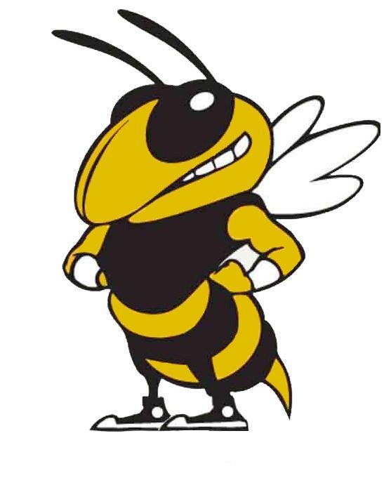 557x681 Clipart Yellow Jacket Bee