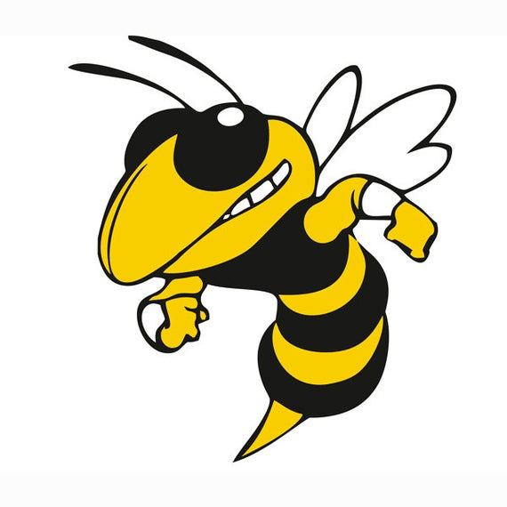 Yellow Jacket Vector at Vectorified.com | Collection of Yellow Jacket ...