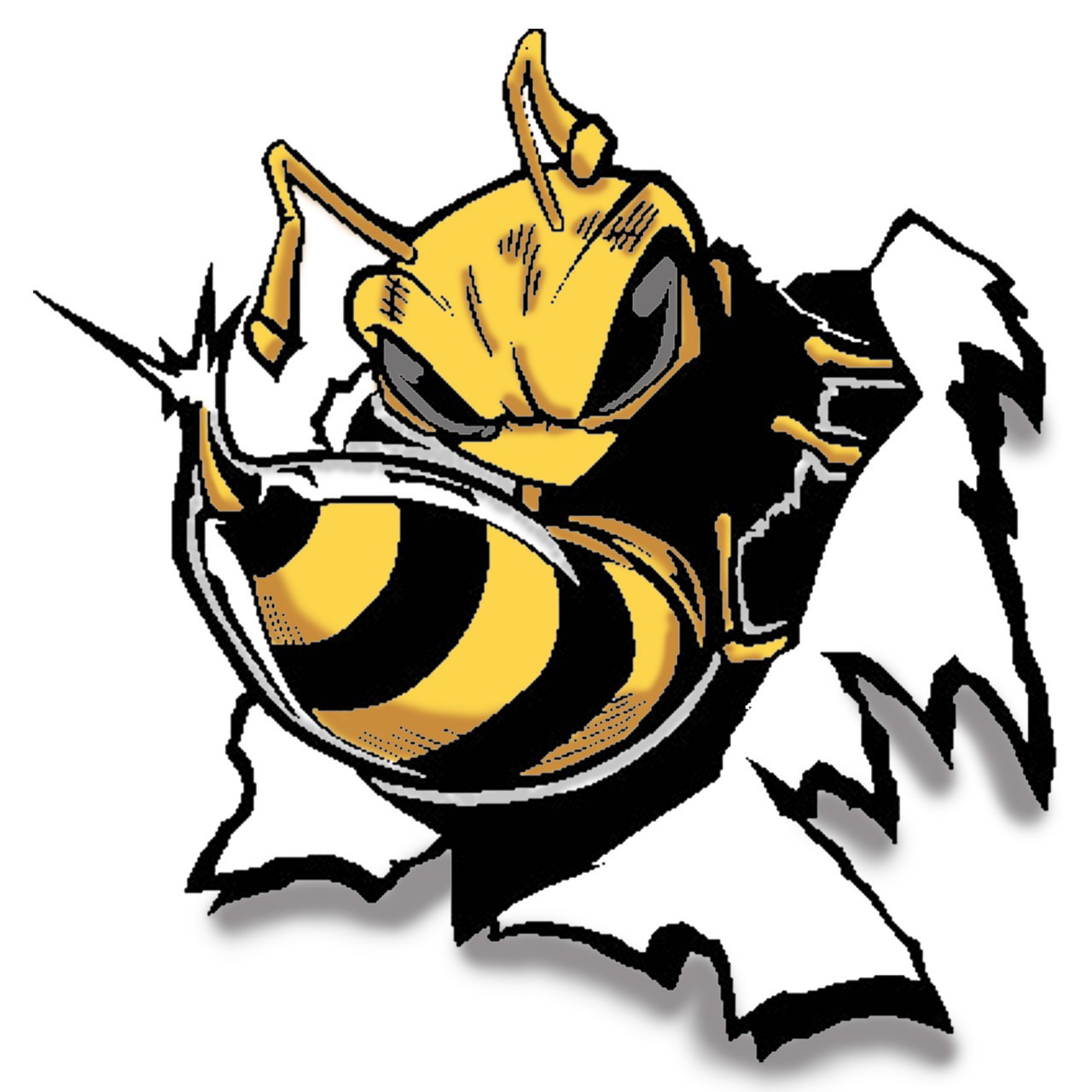 1280x1280 Yellow Jacket Logos