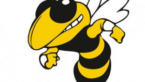 300x170 Georgia Tech Yellow Jackets Logo Vector Archives