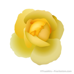 300x300 Download Free Yellow Rose Vector Illustration