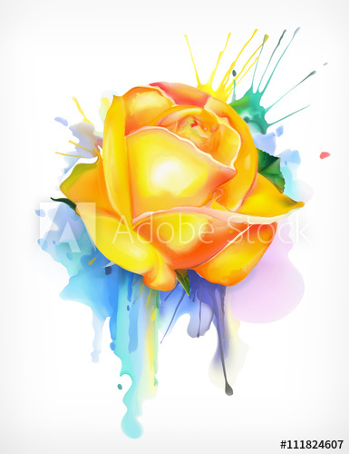 385x500 Watercolor Painting, Yellow Rose Vector Illustration, Isolated