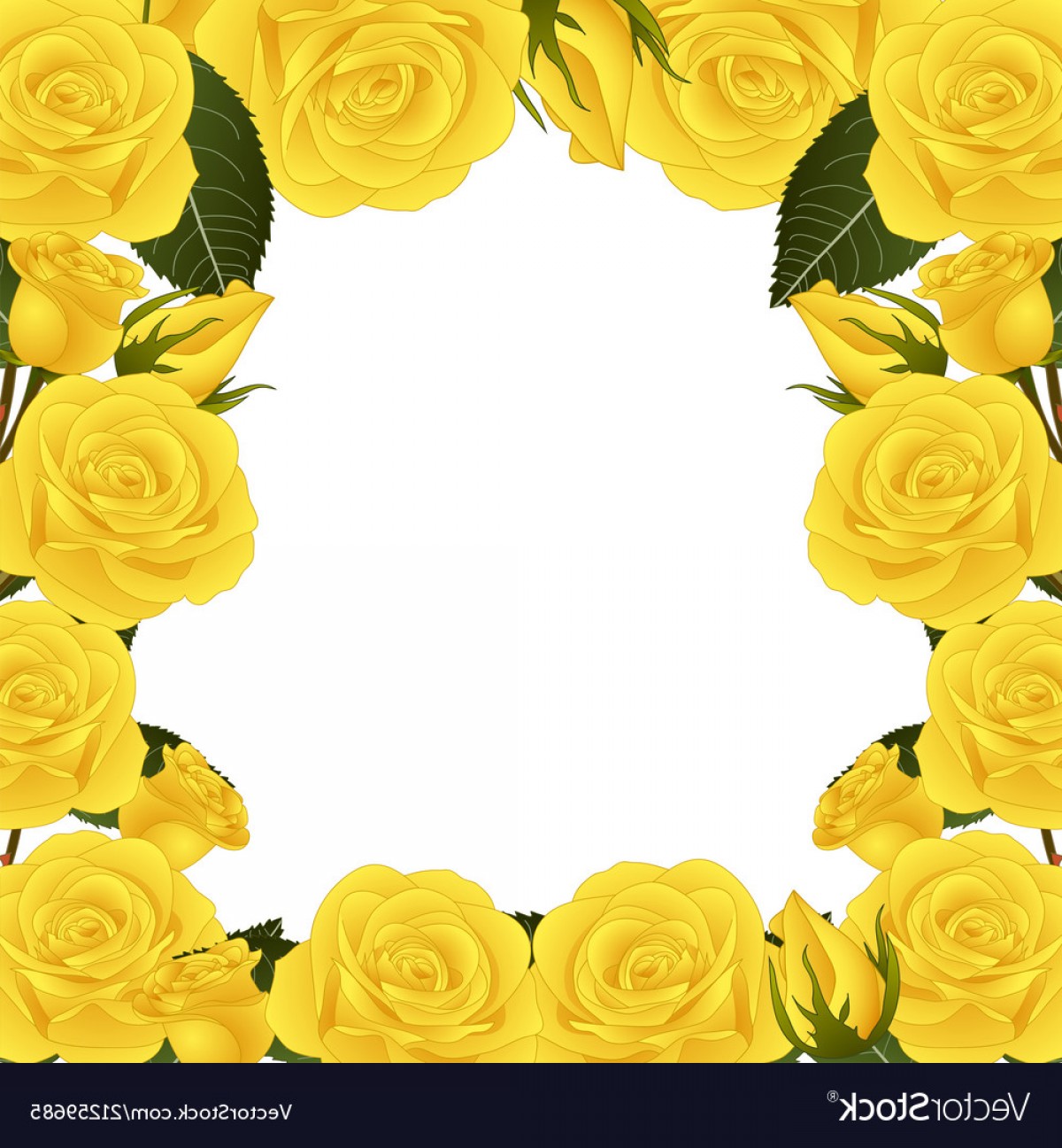 1200x1296 Yellow Rose Flower Border Vector Savoyuptown