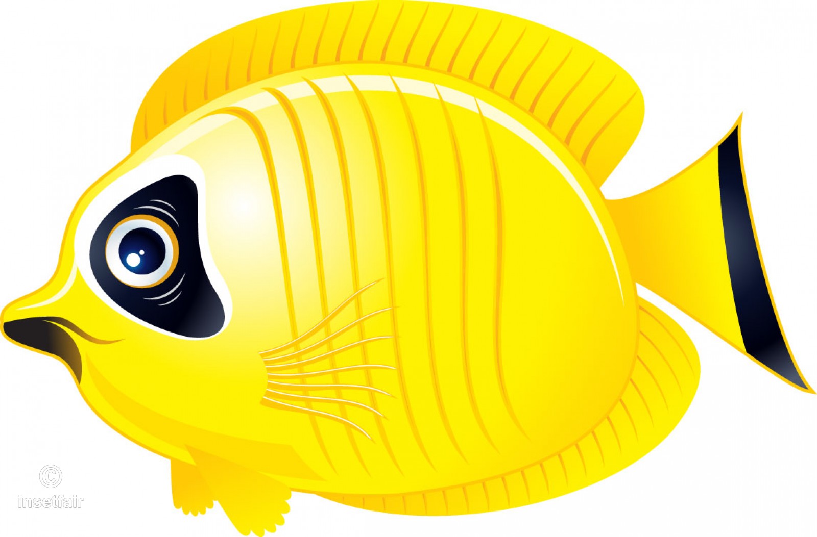 Butterfly Fish Yellow Vector Graphics With Adobe Illustrator 1600x1053 Butterfly Fish Yellow Vector Graphics With Adobe Illustrator