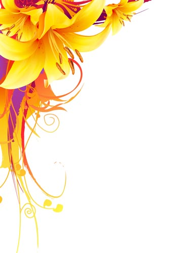 Yellow Lily Vector Flower Design 369x500 Yellow Lily Vector Flower Design