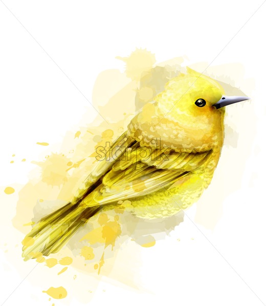 520x600 Cute Yellow Bird Watercolor Vector Isolated On White Vintage