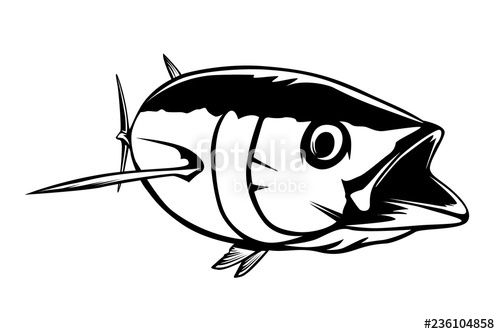 500x334 Tuna Big Fishing On White Logo Illustration Vector Illustration