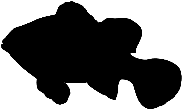 640x386 Yellowfin Tuna