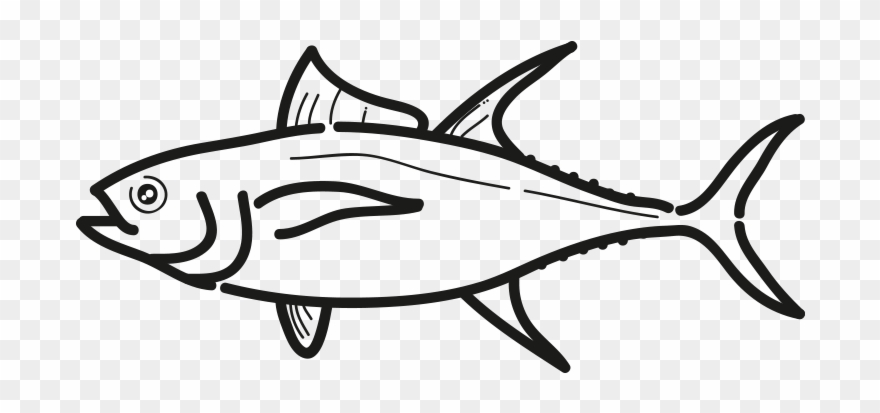 880x413 Yellowfin Tuna Clipart