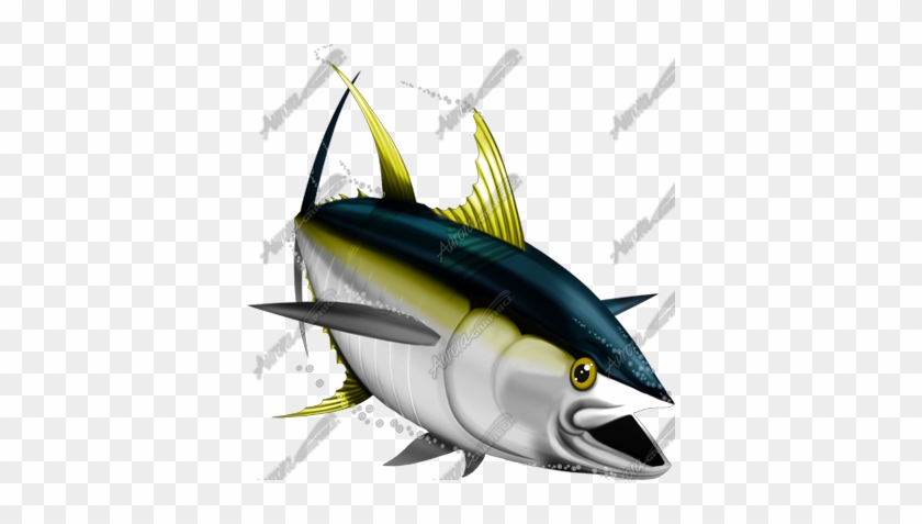 840x477 Yellowfin Tuna Drawing Images