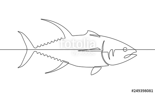 500x305 Yellowfin Tuna Fish Continuous Line Vector Graphic Stock Image