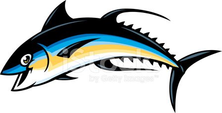 448x228 Yellowfin Tuna Stock Vectors