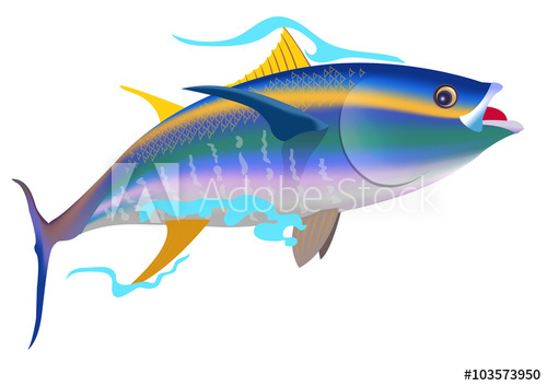 500x353 Yellowfin Tuna