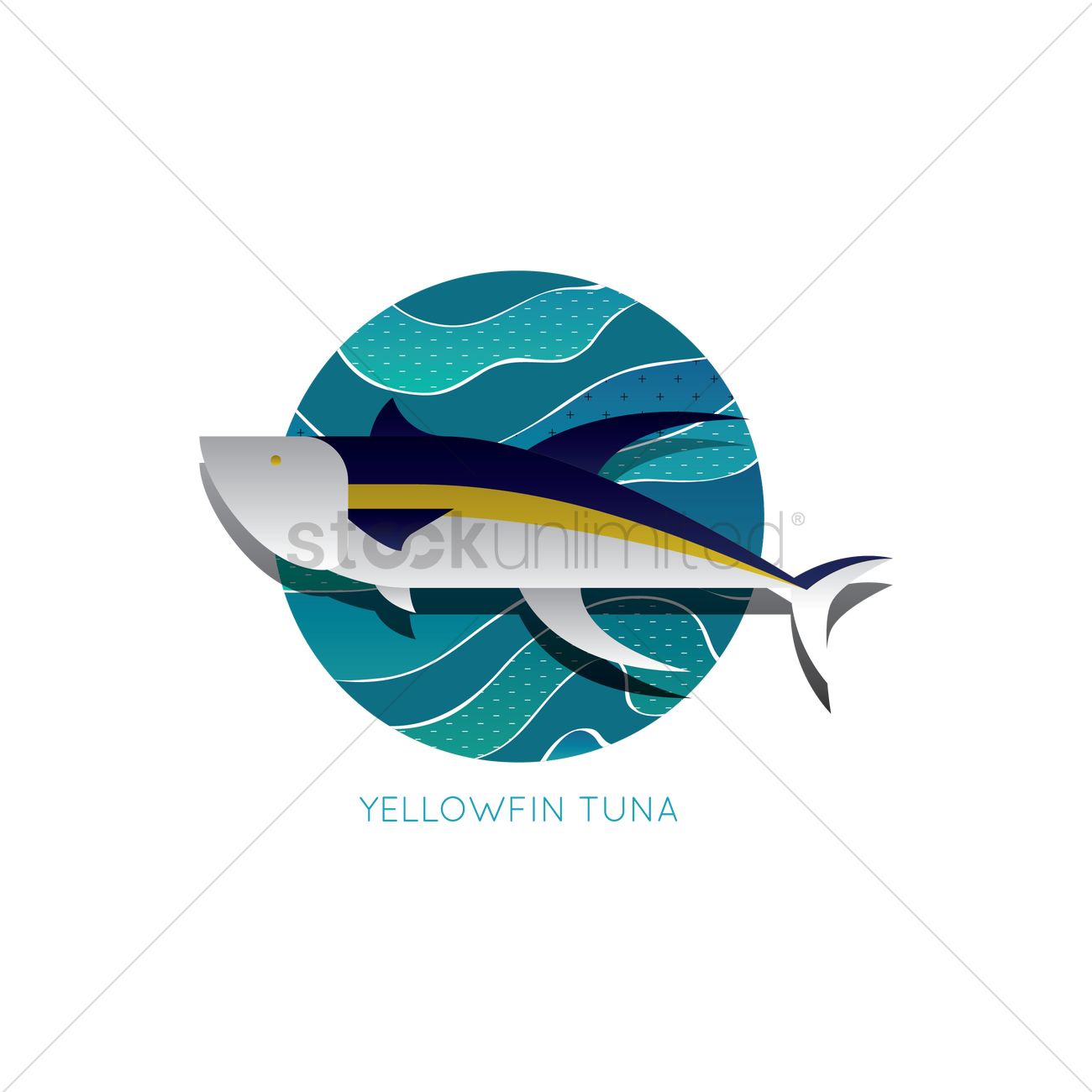 1300x1300 Yellowfin Tuna Vector Image
