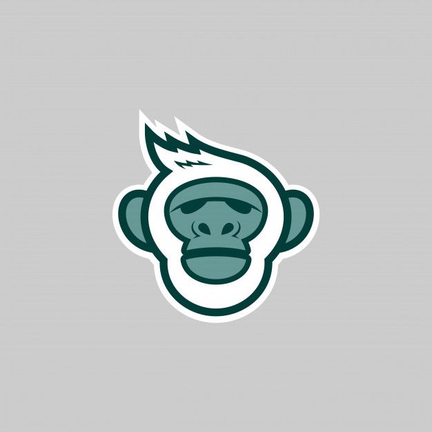 626x626 Yeti Logo