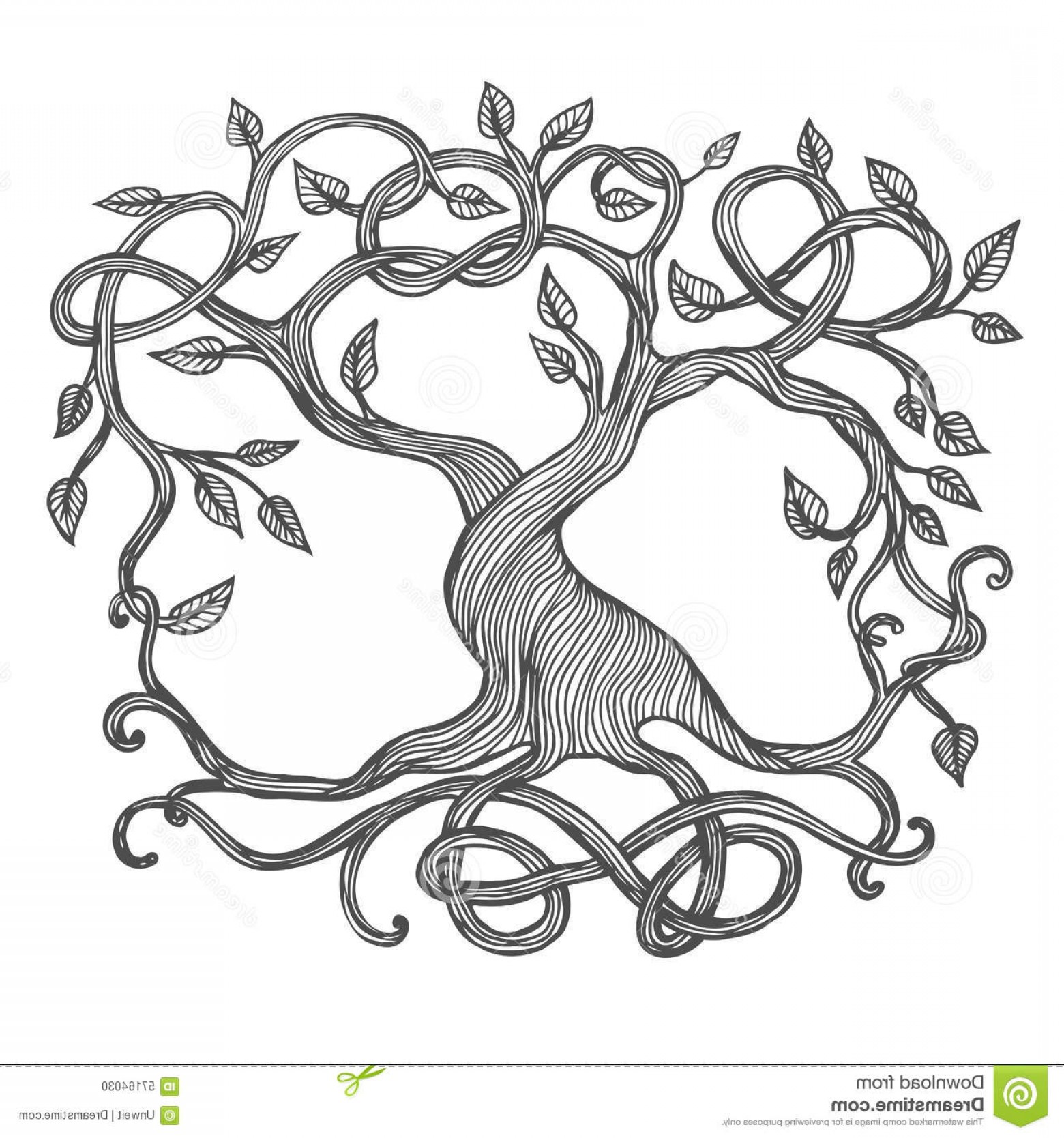 1560x1668 Stock Illustration Celtic Tree Life Illustration Yggdrasil Image