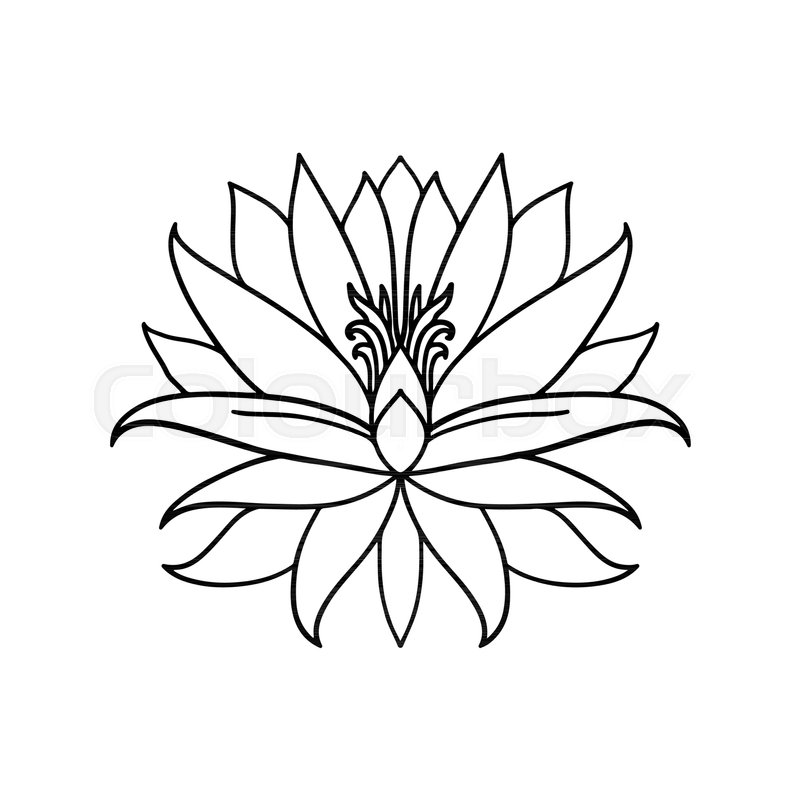800x800 Lotus Flower Icon On White Background Stock Vector Colourbox