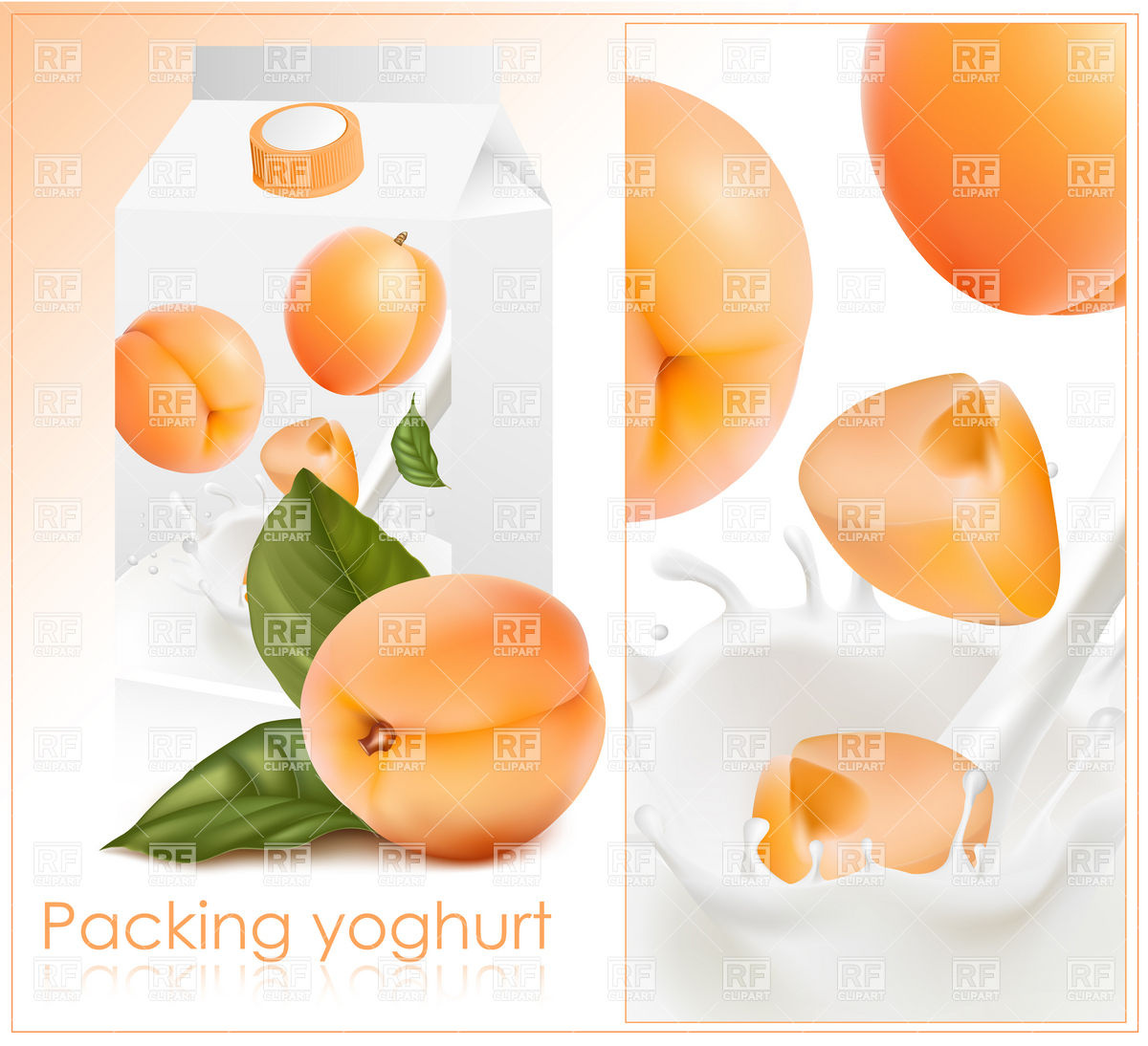 1200x1094 Packing Design For Apricot Yogurt Vector Image Of Food